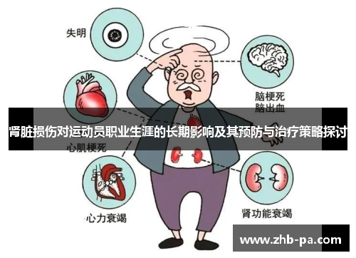 肾脏损伤对运动员职业生涯的长期影响及其预防与治疗策略探讨